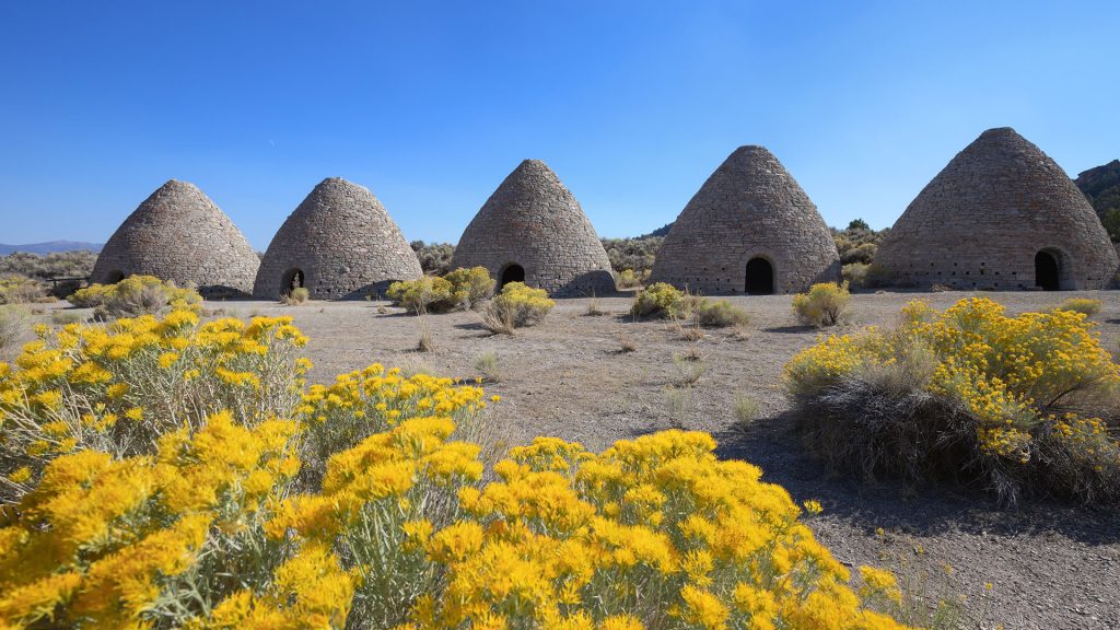 Yellow sagebrush blooming in Ward Charcoal Ovens State Historic Park near Ely, Nevada, USA