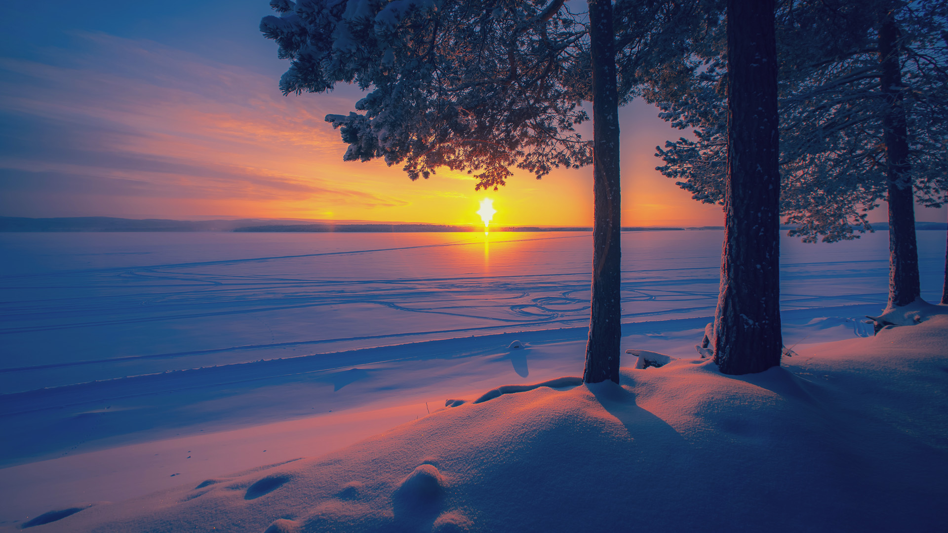 Cold Winter Day Sunset Landscape With Snowy Trees Near Lake Sotkamo 