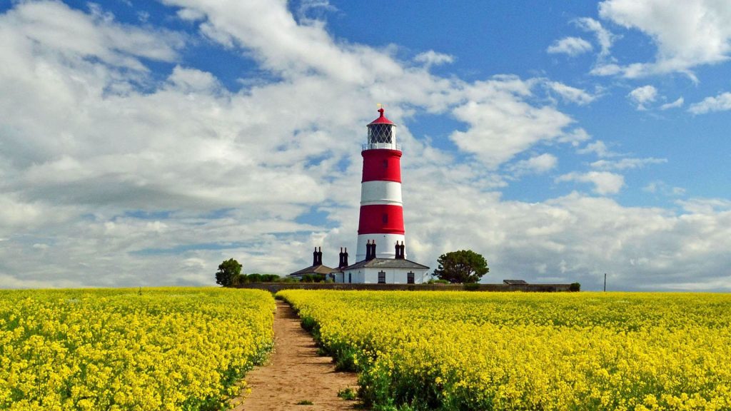 Happisburgh Lighthouse at oil seed rape field on a sunny summer day, Norfolk, England, UK