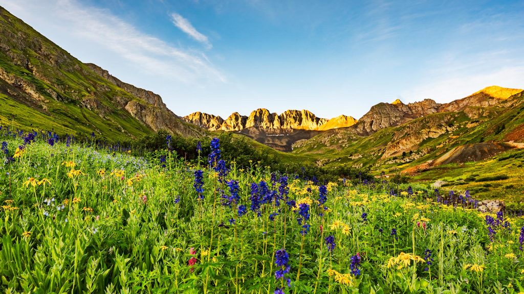 High altitude American basin with wildflowers, San Juan Mountains, Colorado, USA