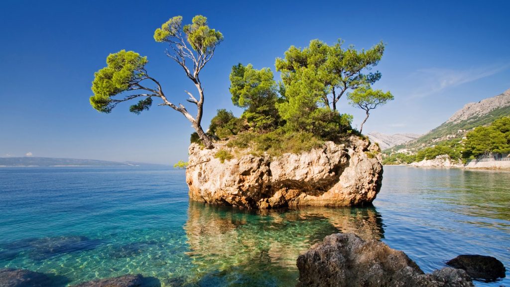 Rock with pine trees at sea coastline, Brela Stone, Dalmatia, Croatia
