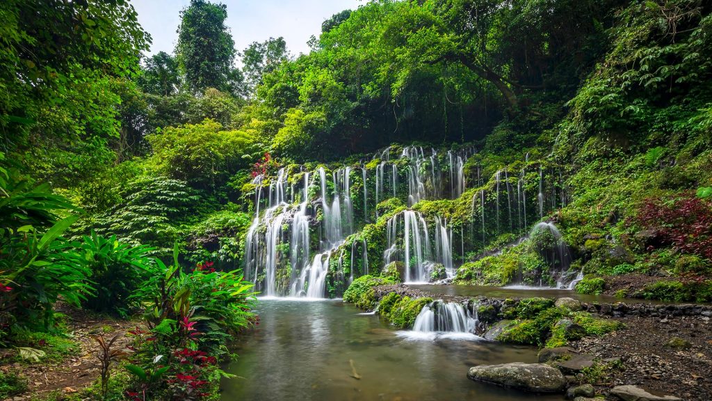 Scenic view of Banyu Wana Amertha waterfall in forest, Bali, Indonesia