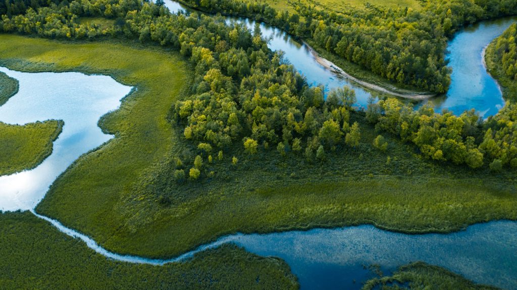 Swamp, river and trees seen from above, Straumbu, Hedmark county, Norway