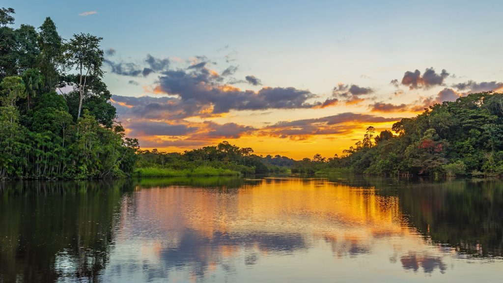 Reflection of a sunset by a lagoon inside the Amazon Rainforest Basin, Ecuador