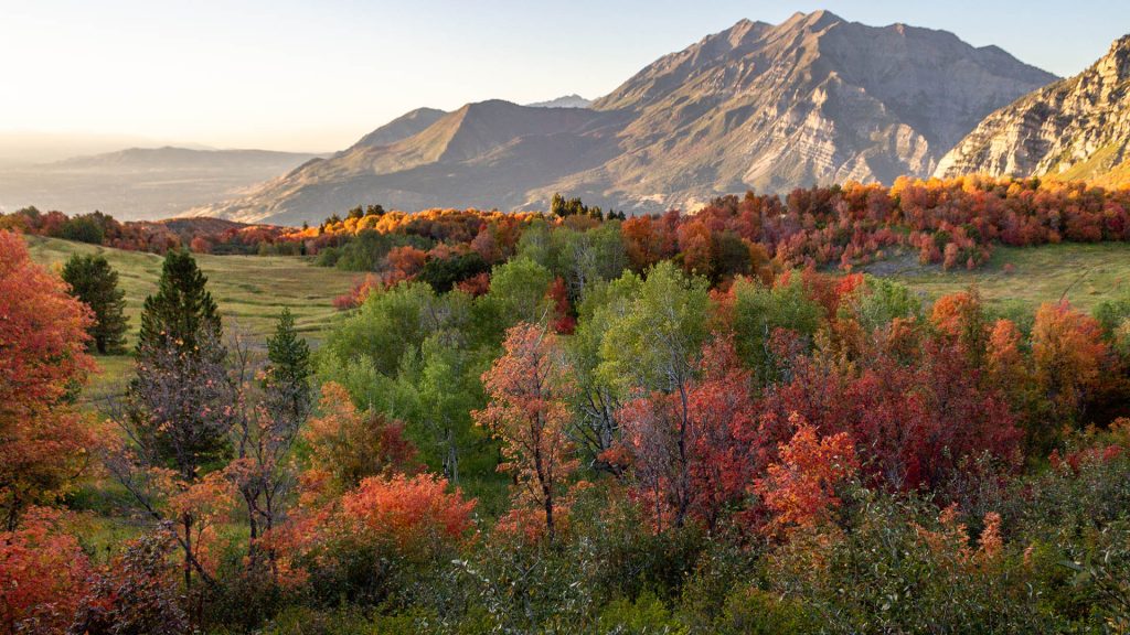 Picturesque valley with a view of Squaw Peak in autumn in the background, Utah, USA