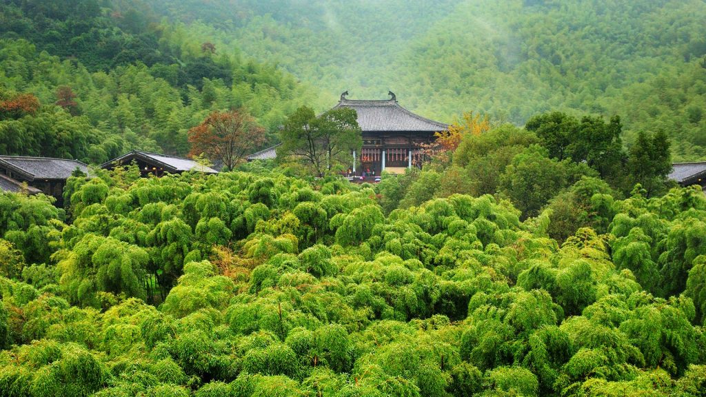 Bamboo forest and teahouse in Changxing, Zhejiang province, China