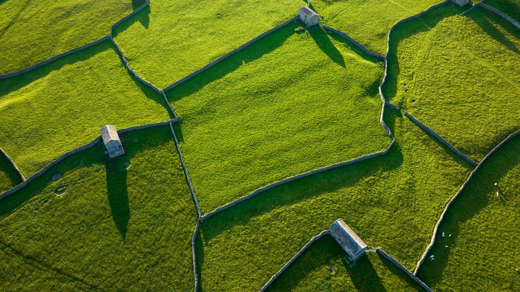 Green pastures divided by drystone walls, Swaledale, Yorkshire Dales, England, UK