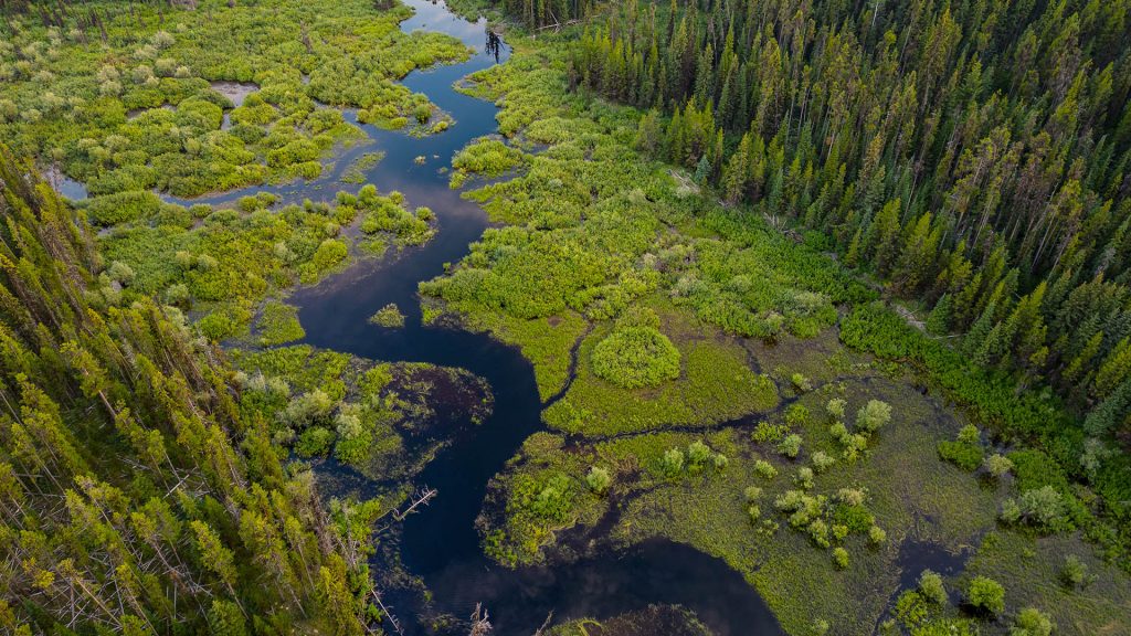 Wetland aerial photo, Okanagan region, Canada