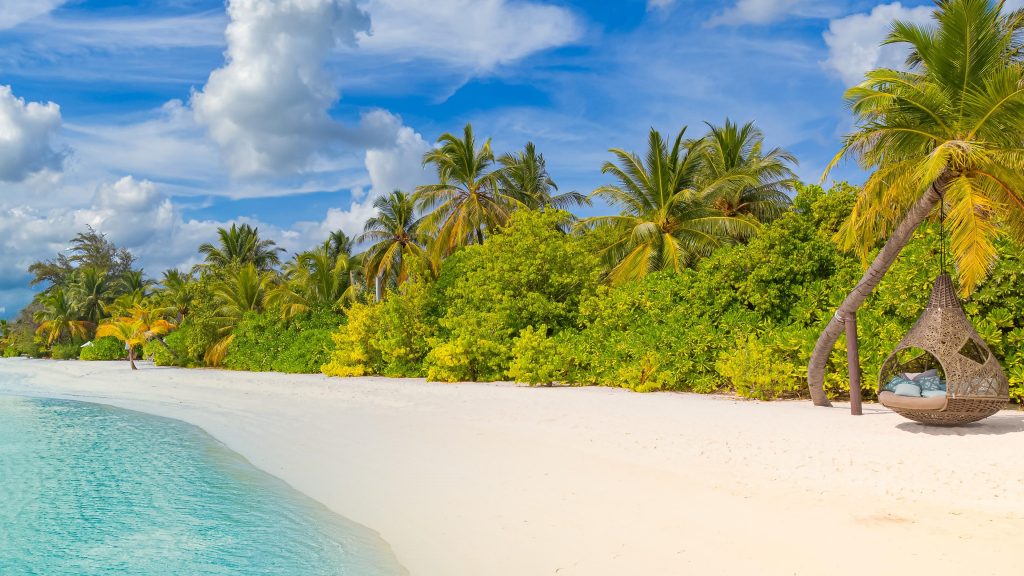 Island beach tropical landscape of summer scenery white sand with palm trees, Maldives