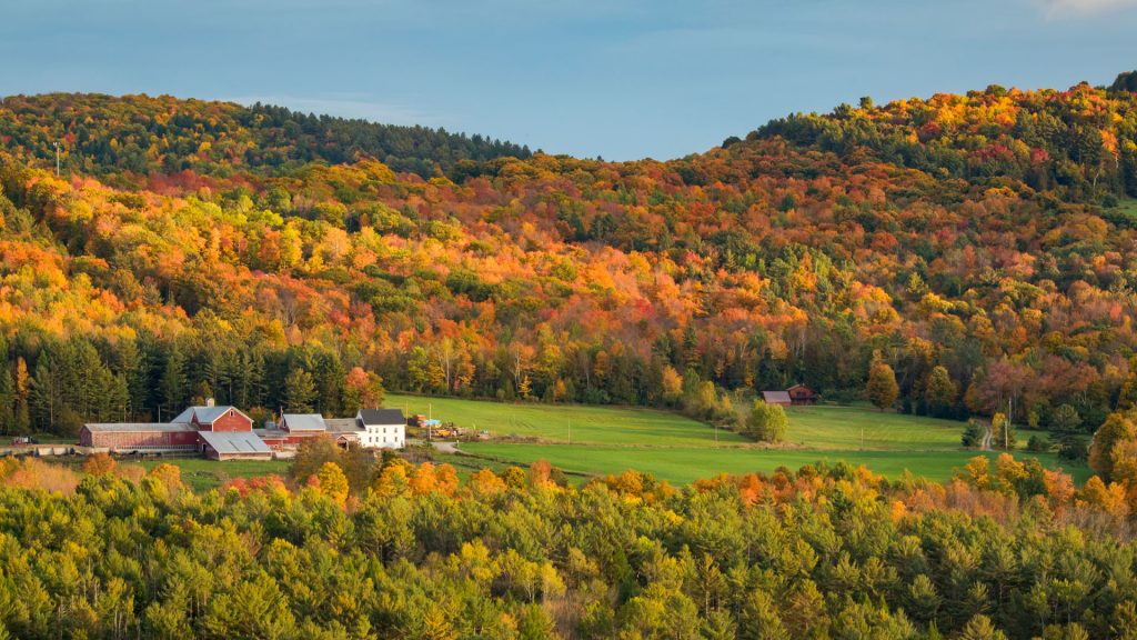 Barns sit in pasture among fall trees, Vermont, New England, USA
