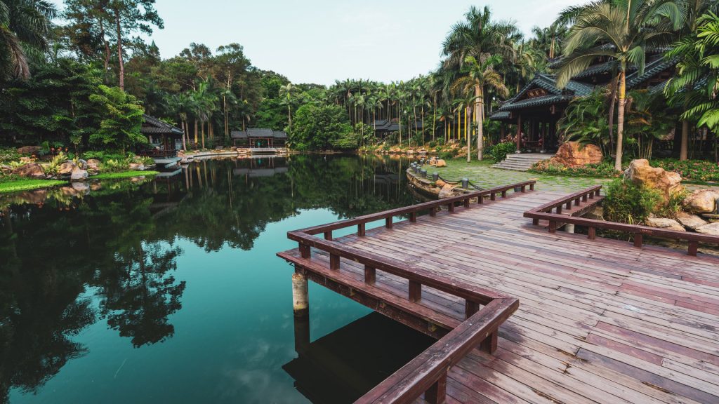 Paved wooden pathway above pond in tropical park of Qingxiu Mountains, Nanning, China