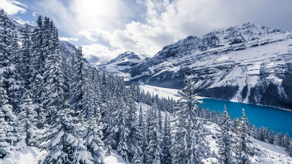 Winter at Peyto Lake, Banff National Park in the Canadian Rockies, Alberta, Canada
