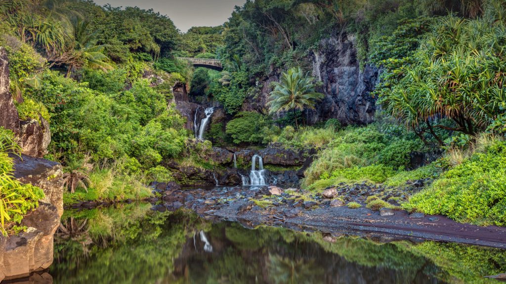 Morning at Oheo Gulch or Seven Pools, Haleakala National Park, Maui, Hawaii, USA