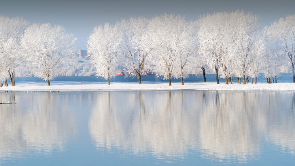 Winter landscape with oak trees reflection in the water along Danube River