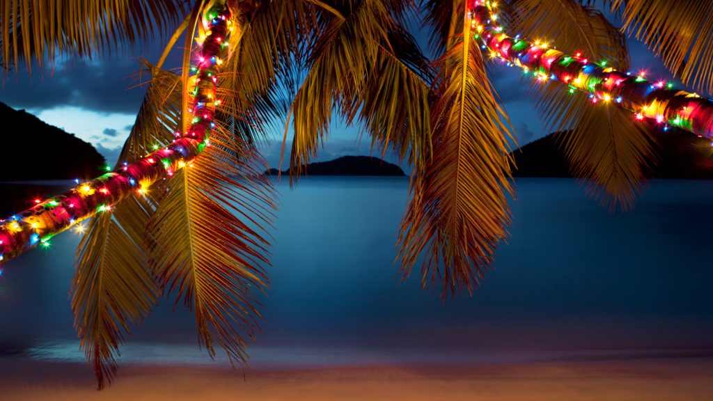 Christmas lights on palm trees at a Caribbean beach at sunset