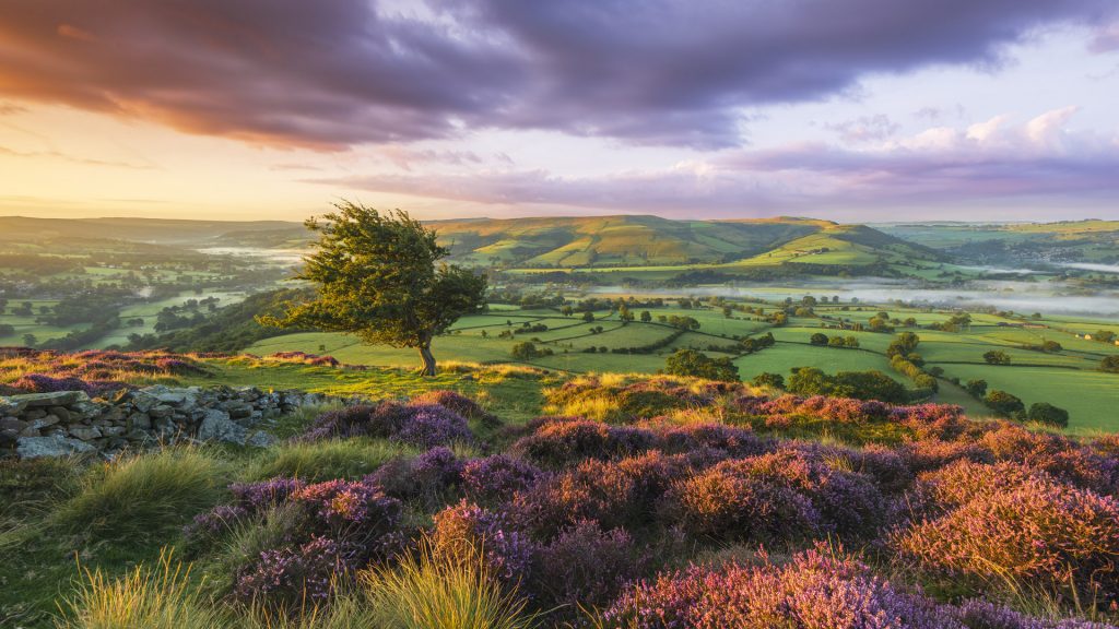 Landscape of the Peak District National park at sunrise, Bamford, Derbyshire, England, UK