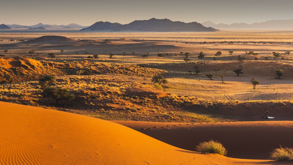 Namib desert at sunrise, Namib-Naukluft National Park, Namibia