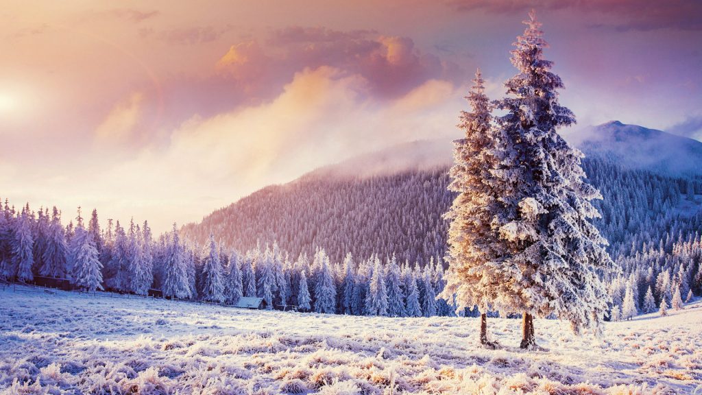 Fabulous winter landscape in the Carpathian mountains, Ukraine