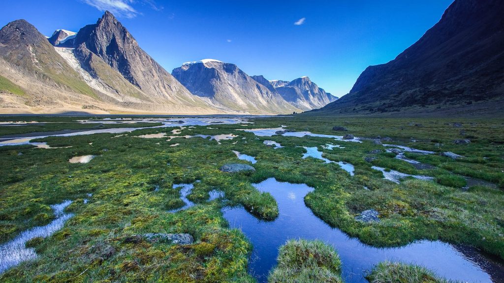 Marshy landscape along the trail in Akshayuk Pass, Baffin Island, Nunavut, Canada
