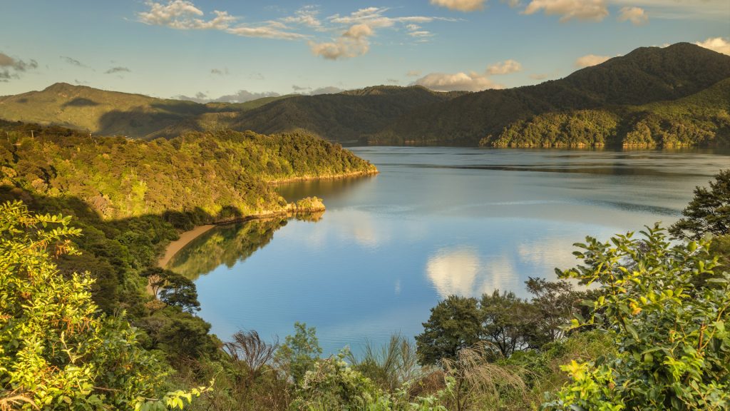 View of Grove Arm, Queen Charlotte Sound, Marlborough Sounds, South Island, New Zealand