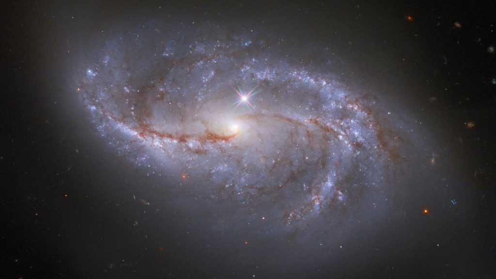 Barred spiral galaxy NGC 2608 in Cancer constellation may be a pair of interacting galaxies