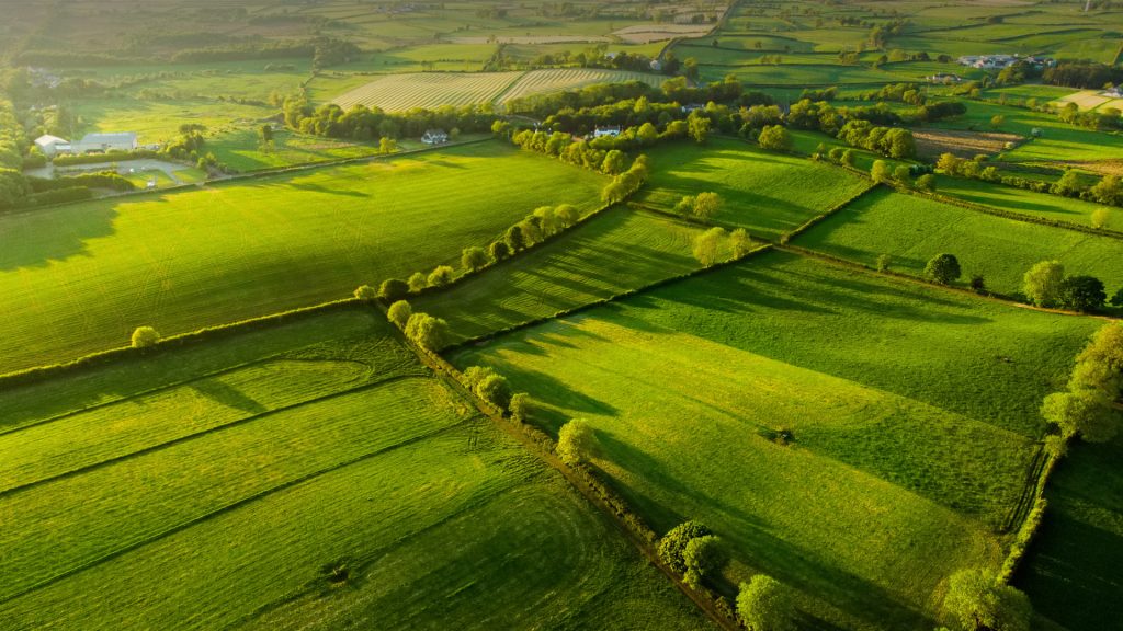 Aerial view of endless lush pastures and farmlands of Ireland, fields and meadows on sunset