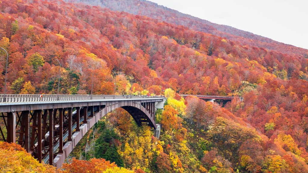 Jōgakura-ōhashi Bridge during autumn foliage season, Aomori, Hakkōda Mountains, Tohoku, Japan