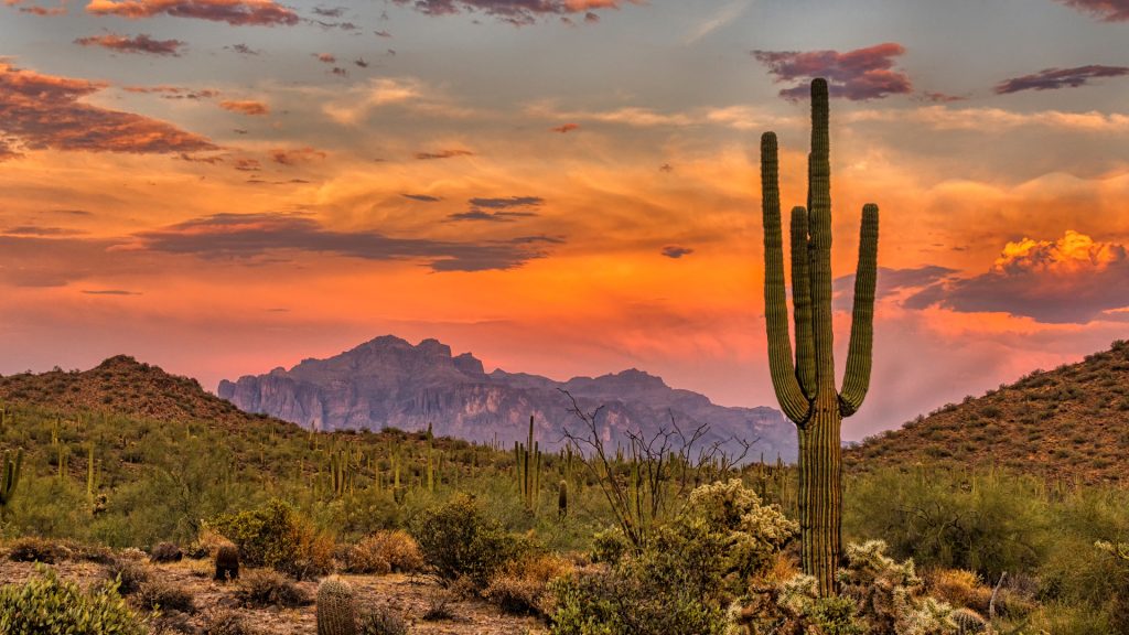 Sunset in the Sonoran Desert near Phoenix, Arizona, USA