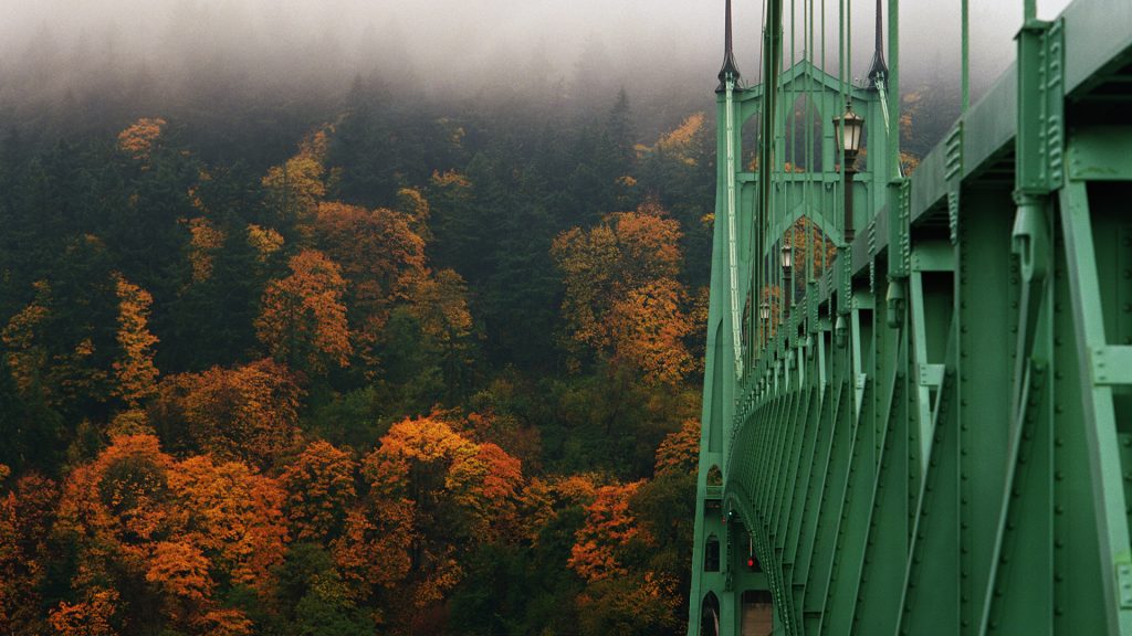 Gothic St. Johns suspension bridge arches into forest park in autumn, Portland, Oregon, USA