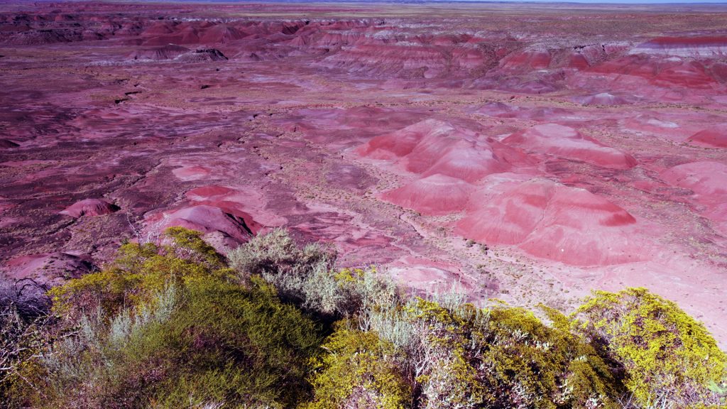 Painted Desert view at dawn in Petrified Forest National Park, Arizona, USA