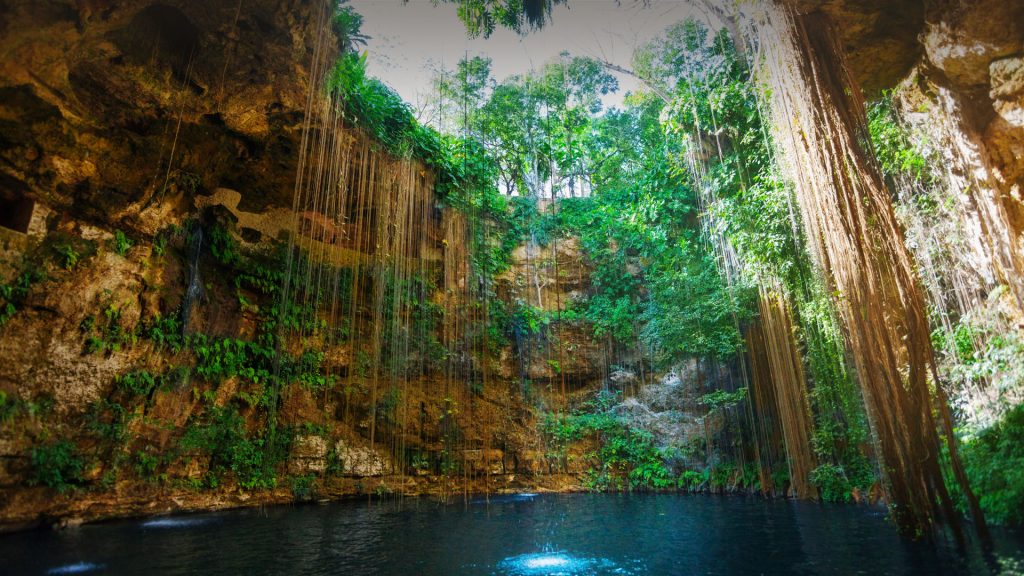 Sunbeams penetrating at Ik-Kil cenote inlet opening, Tinúm Municipality, Yucatán, Mexico