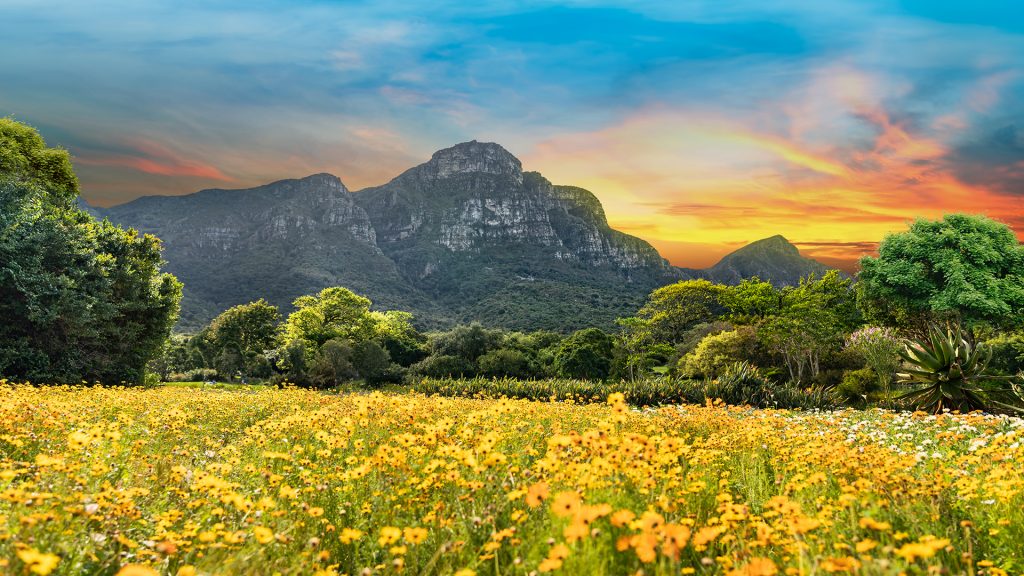 Kirstenbosch National Botanical Garden twilight, Cape Town, South Africa