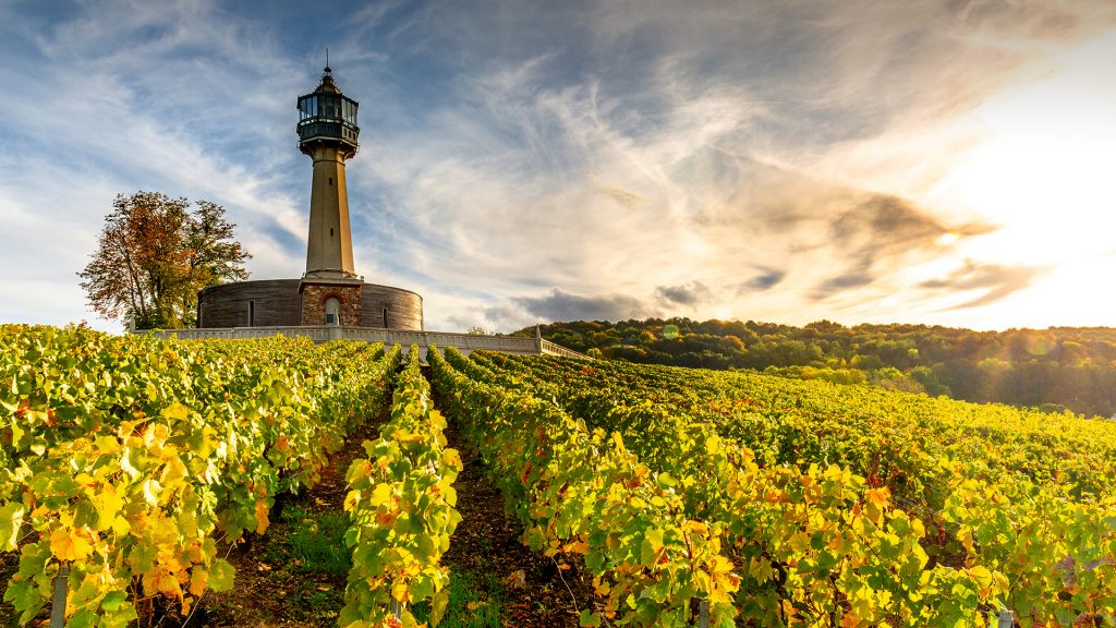 Lighthouse and Vine Museum, vineyards on Montagne Reims, Verzenay, Marne, Champagne, France