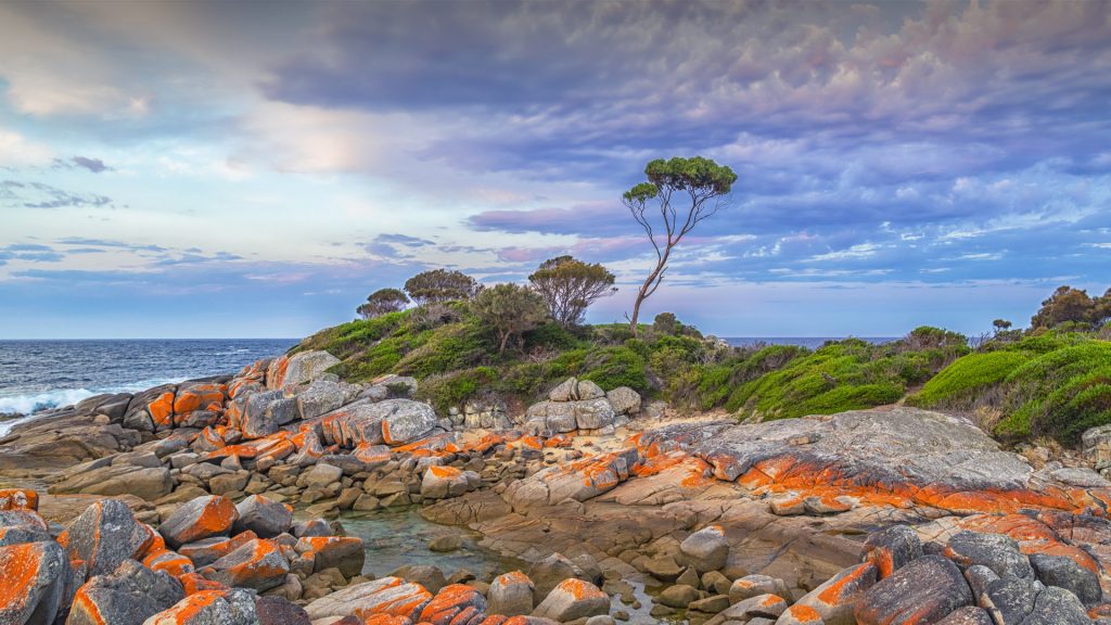 Sunrise over the ocean, Binalong Bay, Bay of Fires Conservation Area, Tasmania, Australia