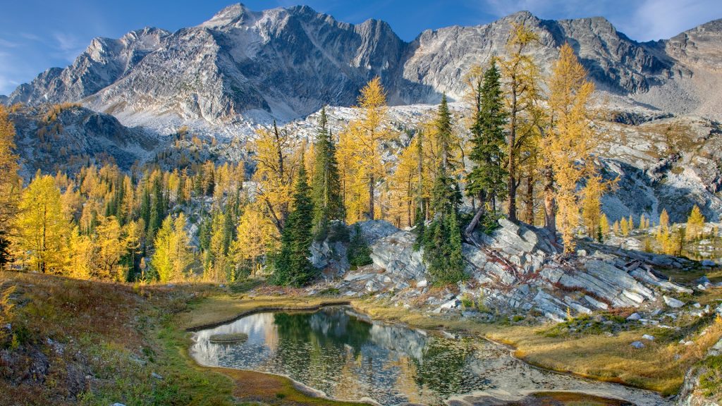 Alpine larches and tarn below Mount Monica, Purcell Mountains, British Columbia, Canada