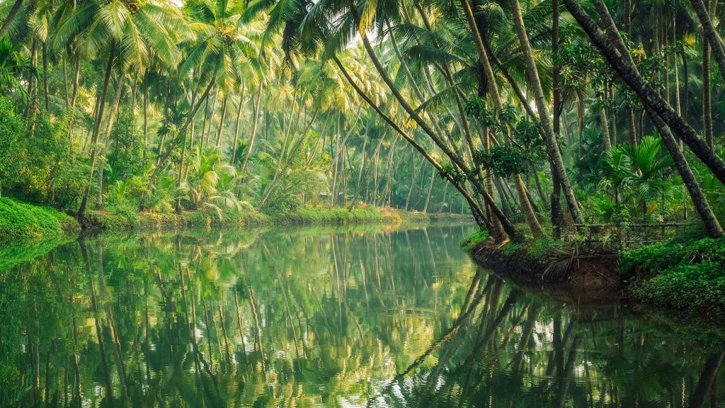 Through the backwaters of Sharavati River and mangrove islands at Honnavara, Karnataka, India