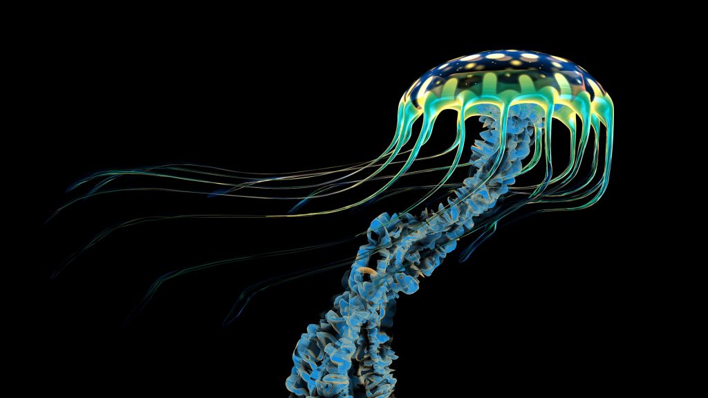 An iridescent blue jellyfish with trailing stinging tentacles to subdue its prey