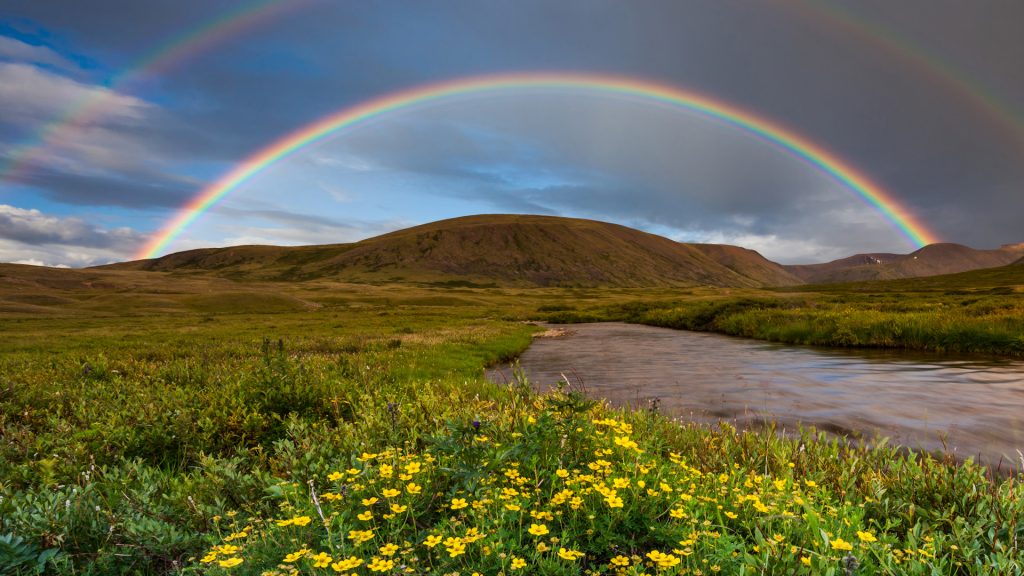 Mountain landscape with a rainbow over flowers, Austria
