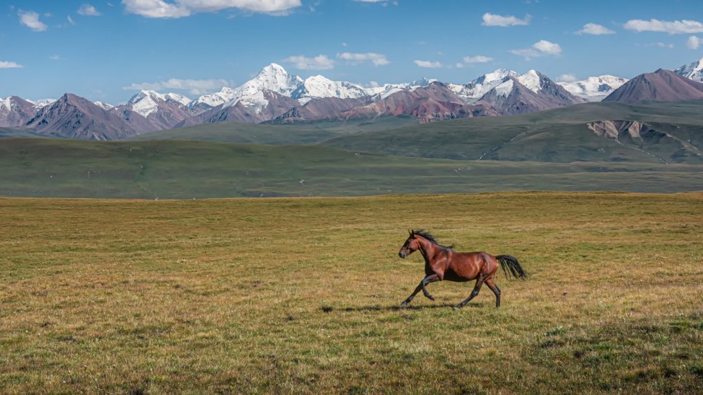 The Steppe of Sary Jaz Valley with Tien-Shan mountain range in background, Kyrgyzstan
