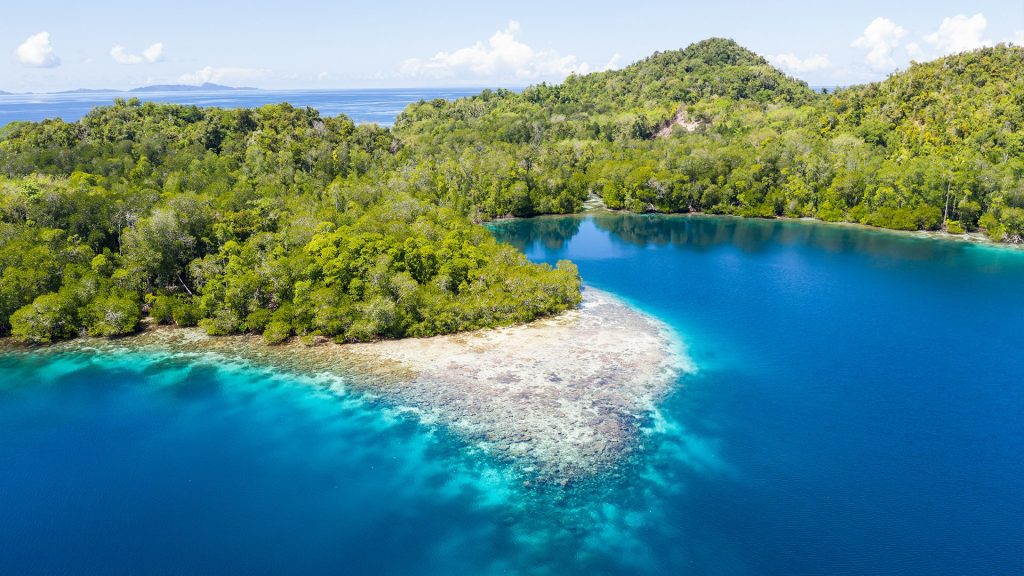 A shallow coral reef along the edge of a limestone island, Misool, Raja Ampat, Indonesia