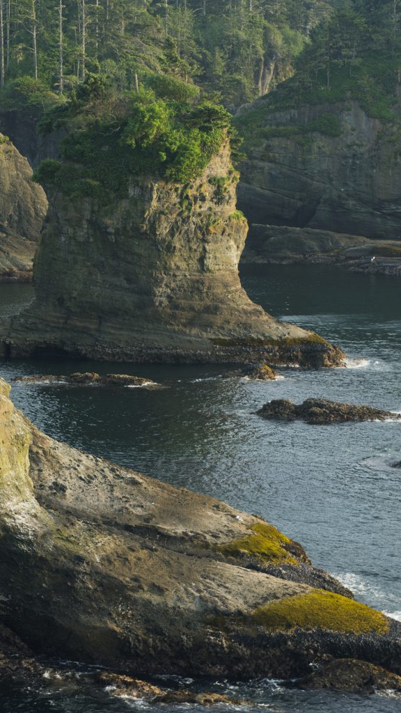 1903c1913736b9564321f2f82444b216