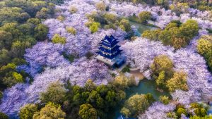 432028079b3c41703446e8dd94eaf63c