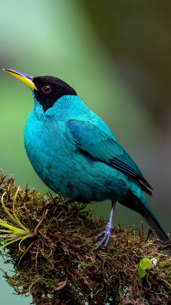 72b41699bb97b2e50673207047811254 72b41699bb97b2e50673207047811254