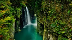 0970cf987e8a949fa381576be4489211