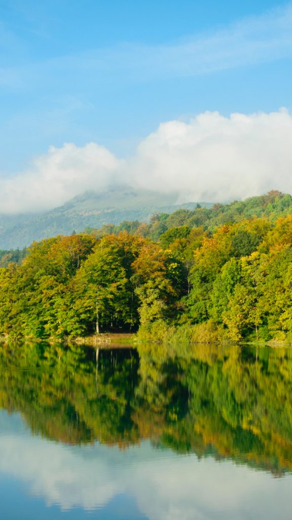 0a9d492fe36c75839e48739995a8e48a 0a9d492fe36c75839e48739995a8e48a