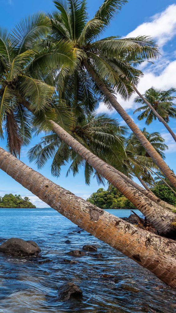 110507e8e10a254781e4d102b9af4151 110507e8e10a254781e4d102b9af4151