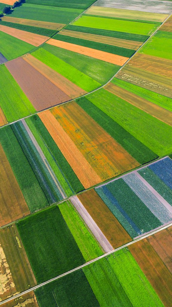 362fe36800415a62d0ab94d65fc4da86