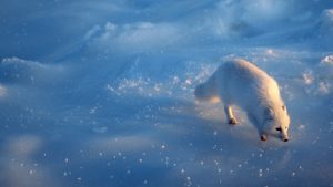 5a454d1ba03fe8b85a92e295c5848176