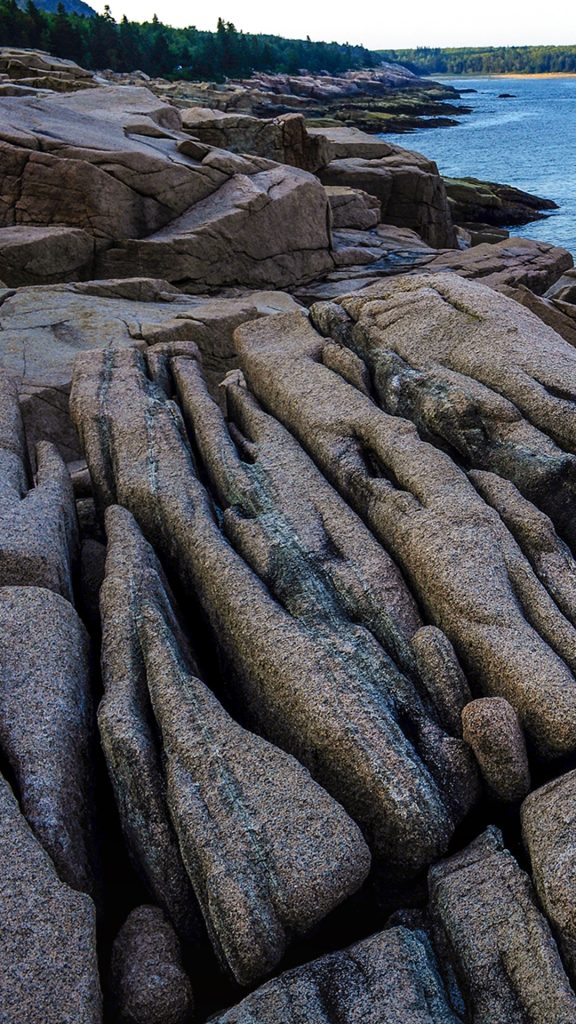 5dd169815918eee612e4211a26b7002b