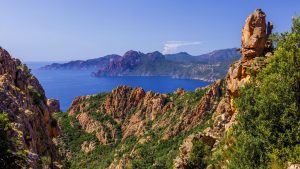 6c470b4c5afeb64a8b857a8da4cbfdf7